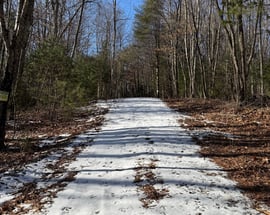 Nepaug Road
