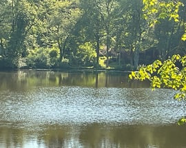 176 Picketts Ridge Road