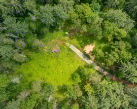 50 Popple Swamp Road