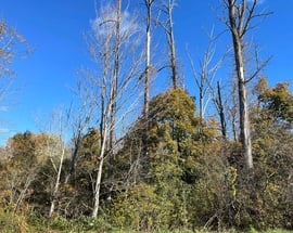 200 W. West Hill Rd Road