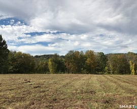 Washington Land