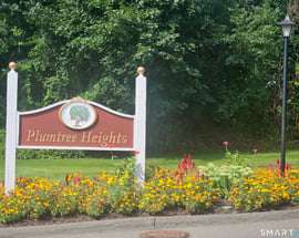 54 Deer Run
