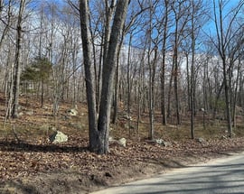 80-#4 Ryder Road