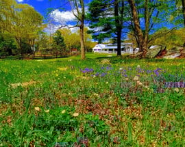 58 Botsford Hill Road