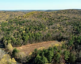 0000 Winsted-norfolk Road