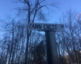 10a Fawn Crest Drive
