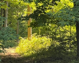 0 Belden Hill Road
