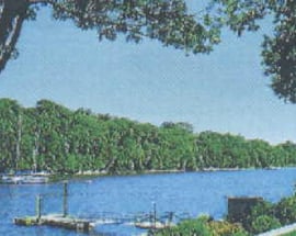 11 Stoney Point