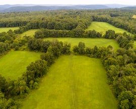37 Popple Swamp Road