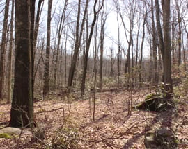 0 Deforest Road