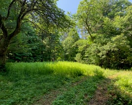 107 West Morris Road