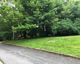 52 Sycamore Road