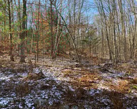 8 Fieldstone Way