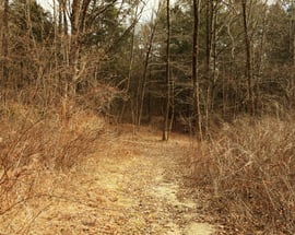 00 Under Mountain Road