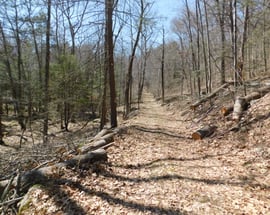 000 Guinea Road