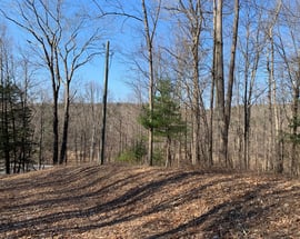 323 New Milford Road East