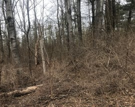 Canaan Southfield Rd