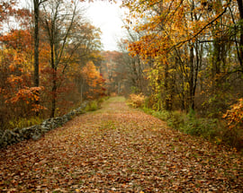 000 Westwoods Road #2