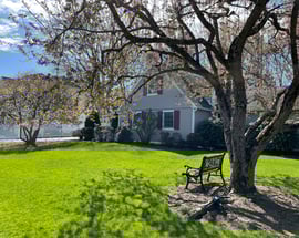 128 Orchard Drive