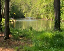 21 Heron Pond Road