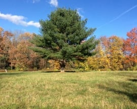0 Maple View Trail