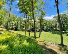 181 West Center Rd