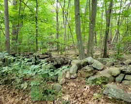 A Opening Hill Road