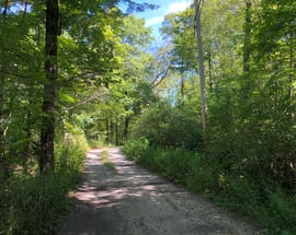 41 Bog Meadow Road