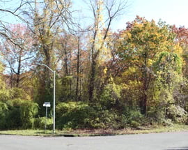 Rolling Hills Lane