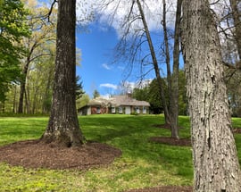 161 Cornwall Bridge Road