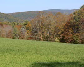 000 Music Mountain Road