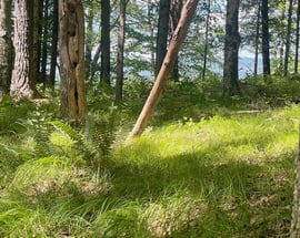 9 Stone Hill Rd