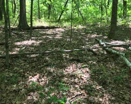 50 Birch Hill Run