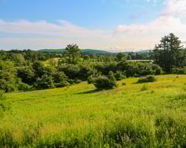 10 Red Mountain Road