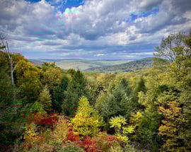 187 Warren Hill Road