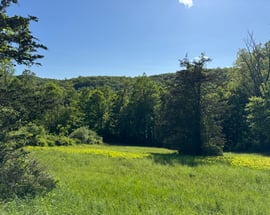 Rte 39 South, State Route