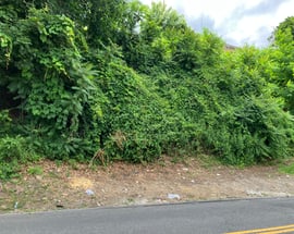 127 -133 Frederic Street