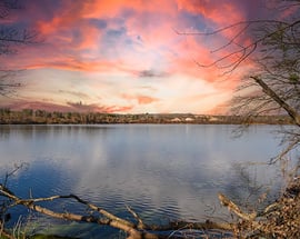 16 Greenbriar Drive #APT A