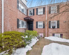 15 Chestnut Street #6A