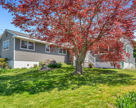 29 Ridge Road