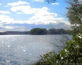 Lot 5 Milton Road