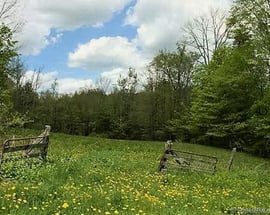 649 Litchfield Road