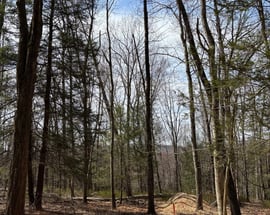 Lot 00 Chalybes Road West