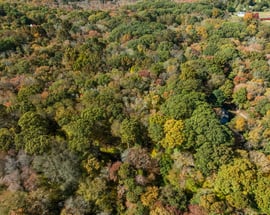 16 North Anguilla Road