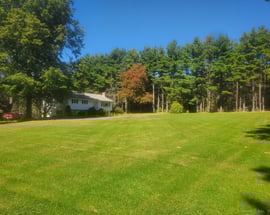 385 Cotton Hill Road