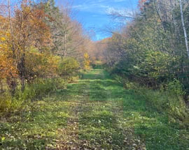 Lot 4 0 Silver Hill Road