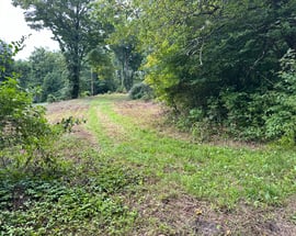410 Nettleton Hollow Road