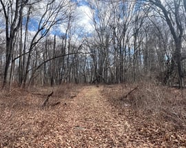 Spooner Hill Road