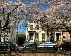 38 Academy Street