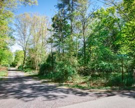 51 Night Owl Road
